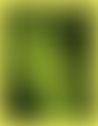 Accept the Miracle: House of the False Art (May 2nd- May 8th, 2014)