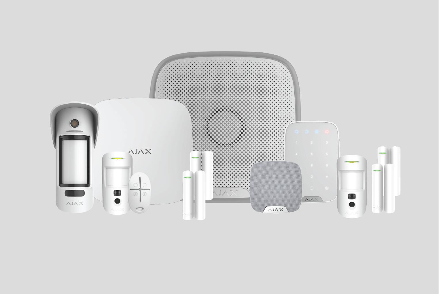 Protection Level 3 Alarm System