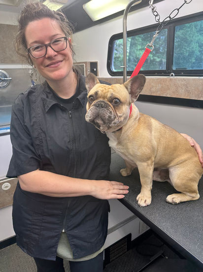 Louie the Frenchie poses with Candy after her groom service with Vroom & Groom.