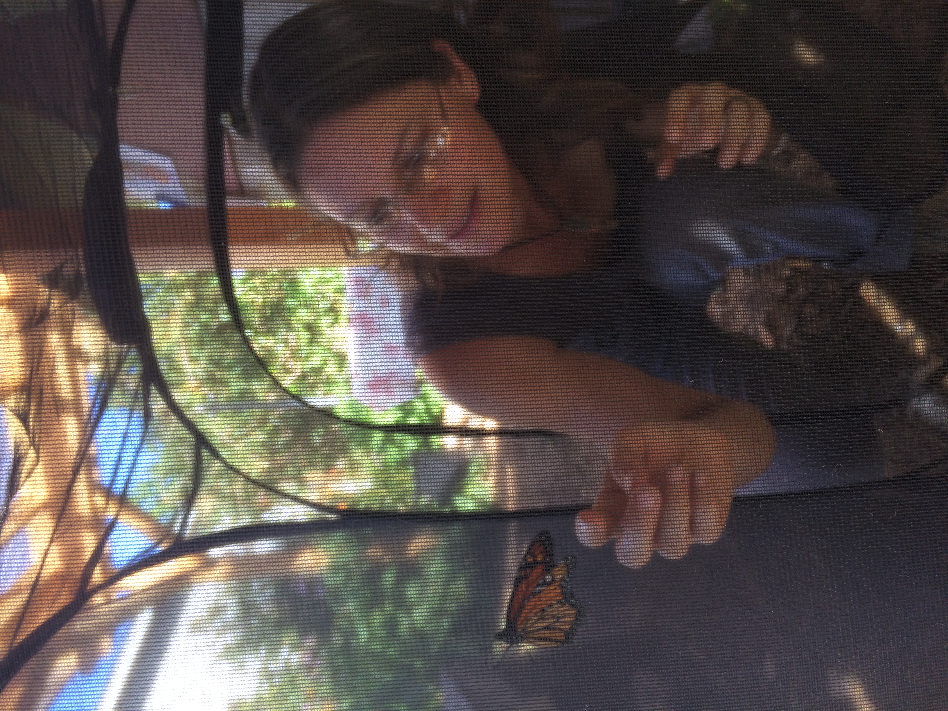 Tagging Monarchs 1
