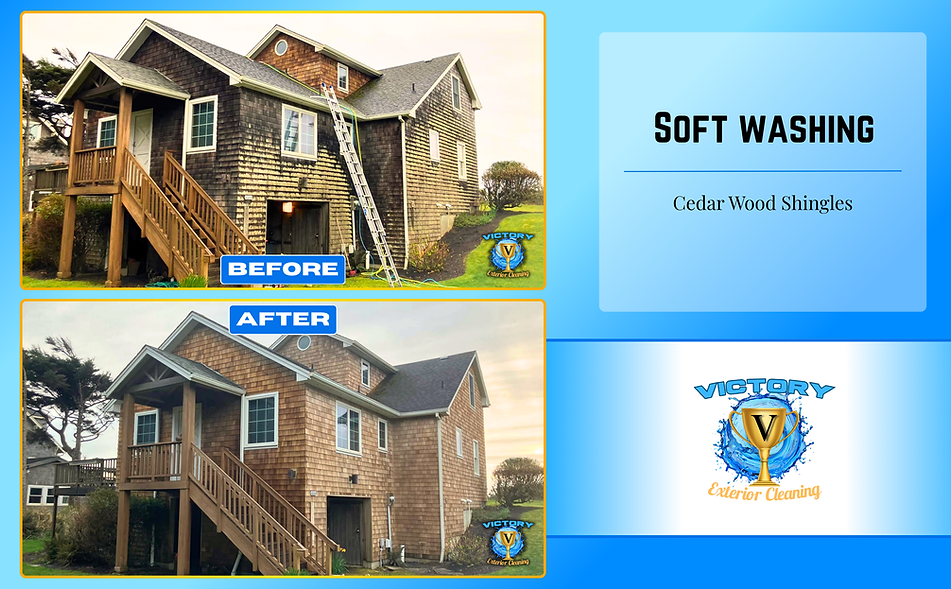 softwashing cedar wood shingles house washing
