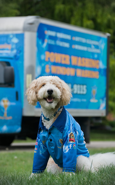 victory exterior cleaning Tucker