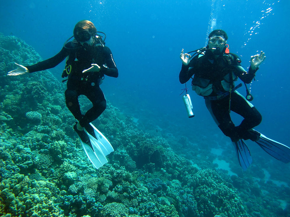 Прев'ю: Заказать Дайвинг в Красном море цена. Шарм Эль Шейх. Египет. Экскурсии в Шарме.
