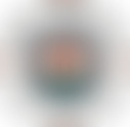 2026 11's Representative Team Selection Announcement