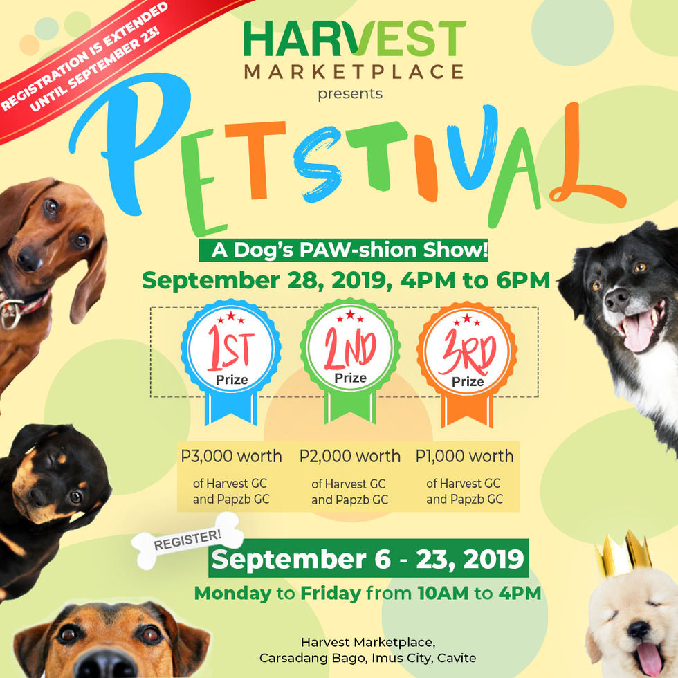 SocialMedia_HMPetstival_0903