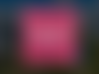 Six Cool Places to Book Private Events in Orlando Florida