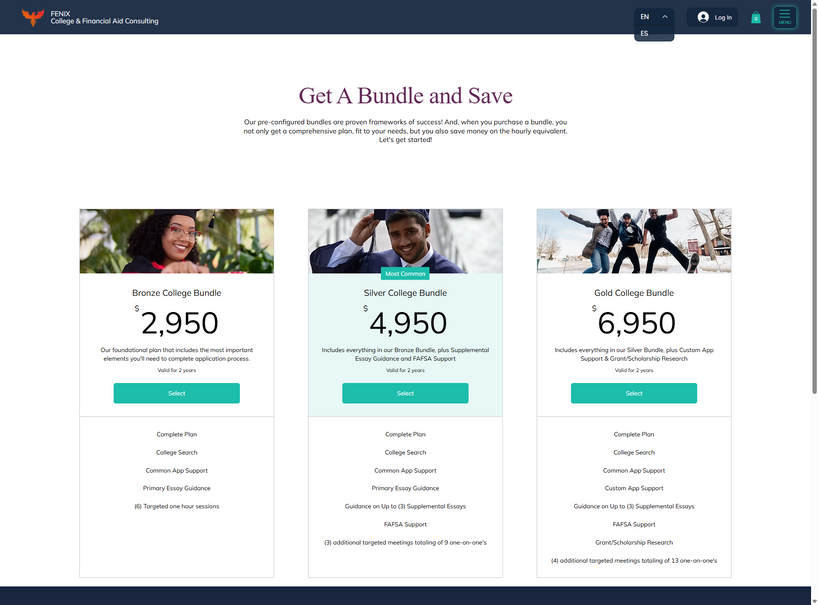 Fenix e-commerce and subscriptions