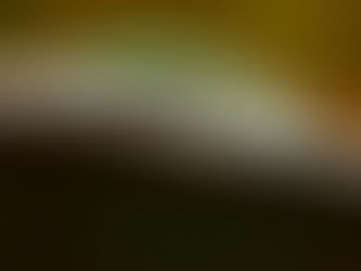 Diving into Gold Country in the Rimac Nevera Time Attack