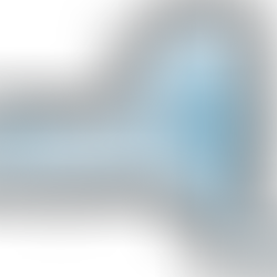 New York ISO (NYISO)