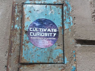 Flipping The Pursuit: Cultivate Curiosity