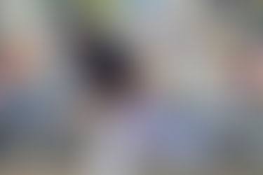 Matt Torra still chasing dream