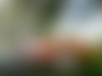 A Corvette, a Rolls-Royce, a Lowrider Legend: Our 10 Favorite My Ride Cars of 2024