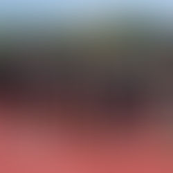 ECV Running Club – Summer 2023