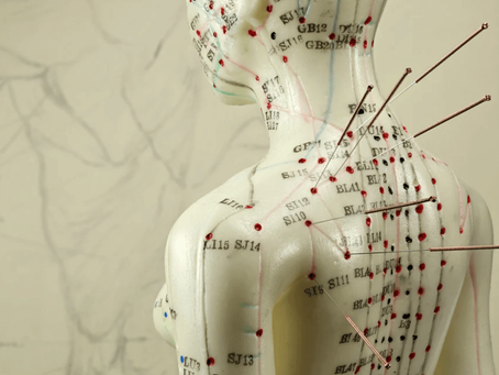 Meridian man with needles