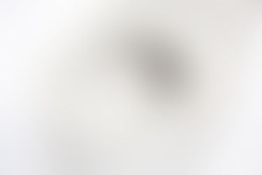 visuSHIELD Sichtverschluss für Trenntoilette in geschlossener Position