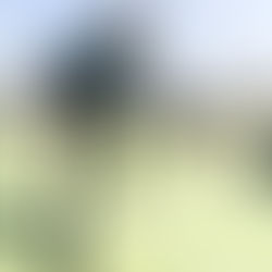 Is Padel Tougher Than Tennis? A Comprehensive Comparison