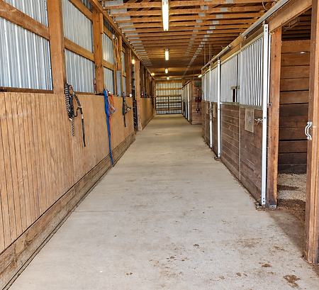 Horse farm in balanced natural light-4.png
