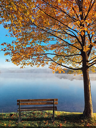 Bench by the lake on an autumn’s day_edited.jpg