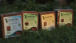 Natural coco chips, coconut husk chips and coir products used as sustainable growing medium for horticulture and hydroponics.