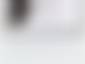 Exposición del pintor serbio Cvetko Lainovic en la Sala de Exposiciones de la Legislatura