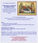 Invitación a la celebración de la Slava de la Catedral - domingo 20 septiembre 10 hs - Divina Liturgia y Almuerzo
