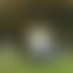 EL ABRAZO DEL TIEMPO