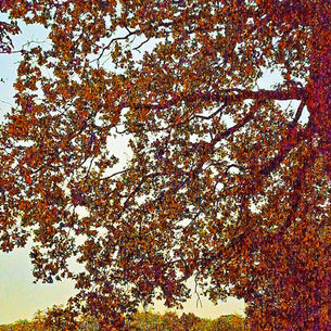 UN OTOÑO SIN CUENTOS DE HADAS