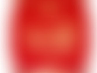 VegaFina Year of the Dragon 2024 Limited Edition 16er Kiste