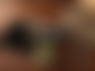 NEU: La Aurora Escogidos Robusto