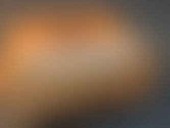 NEU im Klimaraum: A. Fuente Hemingway Work of Art