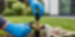 replace solenoid in sprinkler valve