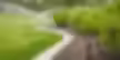sprinkle and drip irrigation