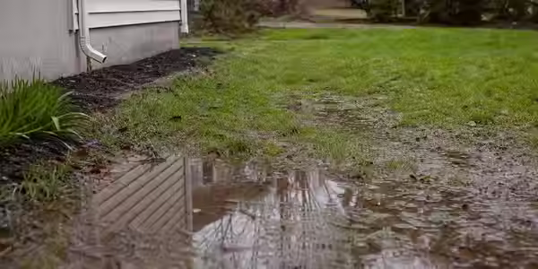 2026 Guide: 7 Signs You Have a Drainage Problem in Your Yard