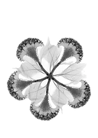 IMAGE 2026-07-21 21_42_52_edited.png