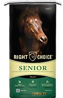 Right Choice Senior_Front Comp.png