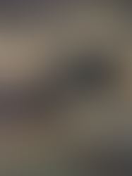 F22 Air Dominance Fighter