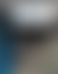 Skin customisation menu