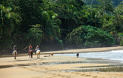 Horse riding in Costa Rica at the Caribbean in Punta Uva Beach_edited.jpg