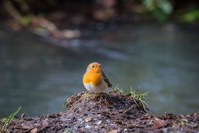 Lincolnshire Photographer