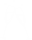 festa.png