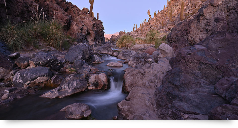 Thumbnail: NIKKOR Lens  Z 20MM F/1.8 S
