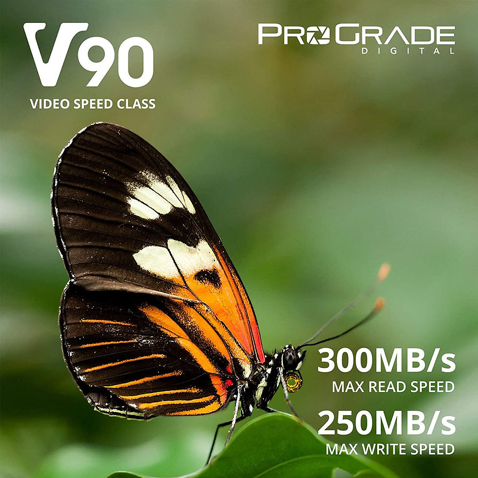 Thumbnail: ProGrade Digital 64GB V90 UHS-II SDXC Memory Card | Prakash Kala Mandir