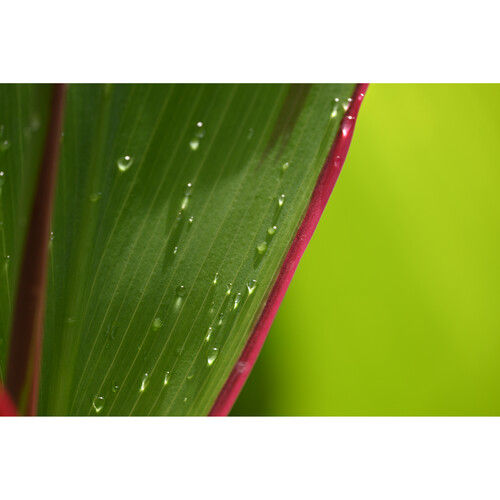 Thumbnail: Nikon NIKKOR Z DX 18-140mm f/3.5-6.3 VR Lens Nikon Z | Prakash Kala Mandir