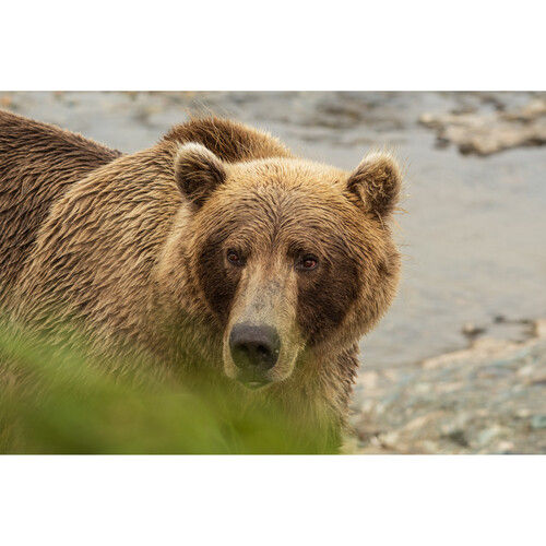 Thumbnail: Sigma 100-400mm f/5-6.3 DG DN OS Contemporary Lens FUJIFILM X | Prakash Kala Mandir