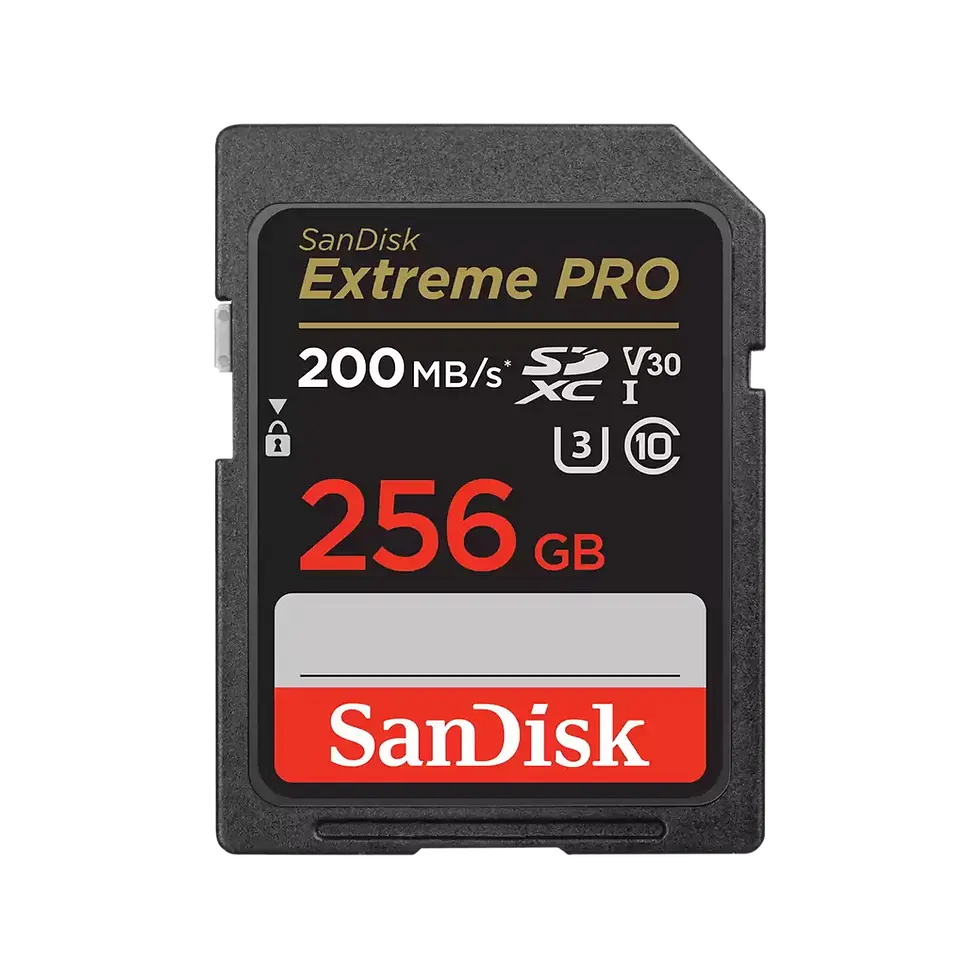 SanDisk Extreme PRO 256 GB SDXC UHS-I Card | Prakash Kala Mandir