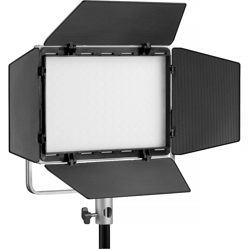 Thumbnail: Godox  Continuous Light LP600R | Prakash Kala Mandir