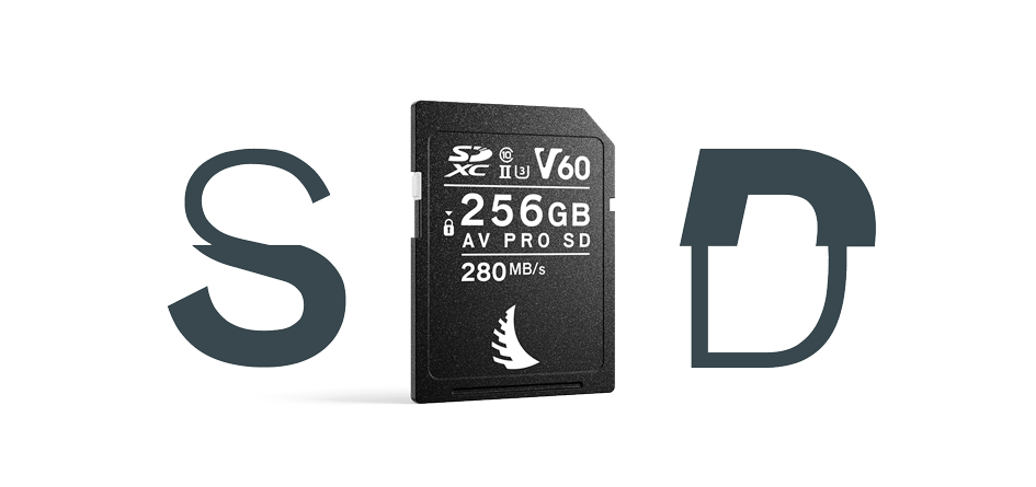 Angelbird AV PRO SD MK2 V60 256GB Memory Card | Prakash Kala Mandir