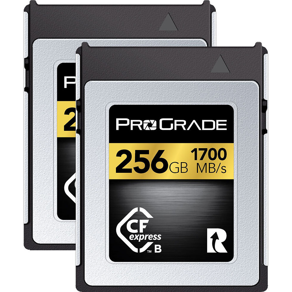 ProGrade Digital 256GB CFexpress 2.0 Type B Gold Memory Card 2-Pack | Prakash Kala Mandir