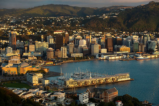 Wellington City Council Photographer Neil Price