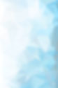 X4 Background_edited.jpg